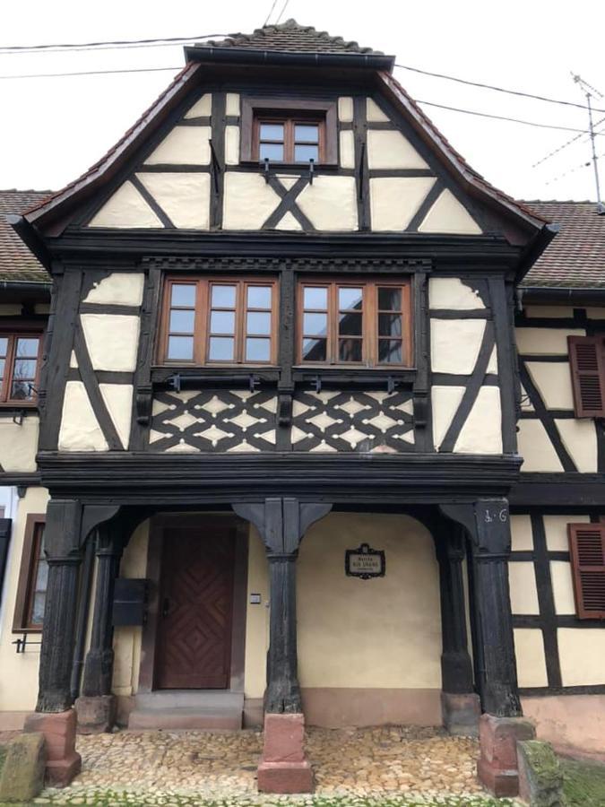 Apartment Petit Nid Douillet Ensolleille Bouxwiller (Bas-Rhin)
