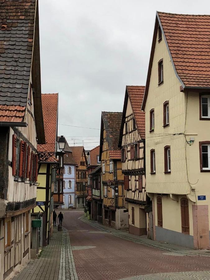 Petit Nid Douillet Ensolleille * Bouxwiller (Bas-Rhin)