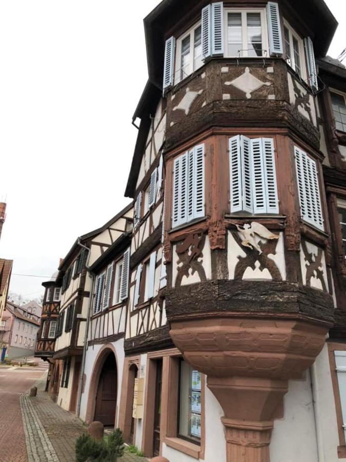 Petit Nid Douillet Ensolleille Apartment